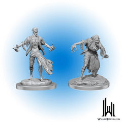 D&D Nolzur's Marvelous Miniatures: Nosferatu